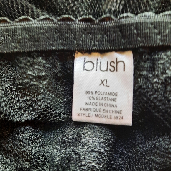 XL BlushBlack Lace Midi Dress Slip - Picture 7 of 14